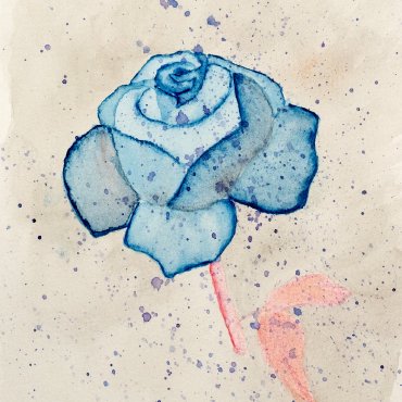 blue-rose.jpg
