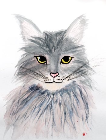 How To Draw A Persian Cat Step by Step Drawing Guide by Dawn  DragoArt