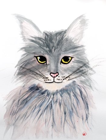 fluffy-cat.jpg